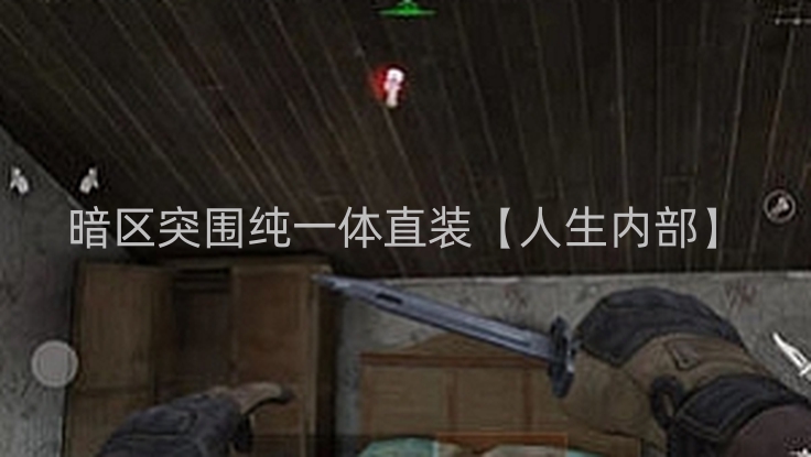 暗区突围纯一体直装【人生内部】
